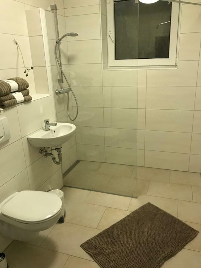 Ferienwohnung Meisenweg Bad Soden-Salmunster Bagian luar foto